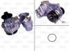 VALEO 506799 Water Pump